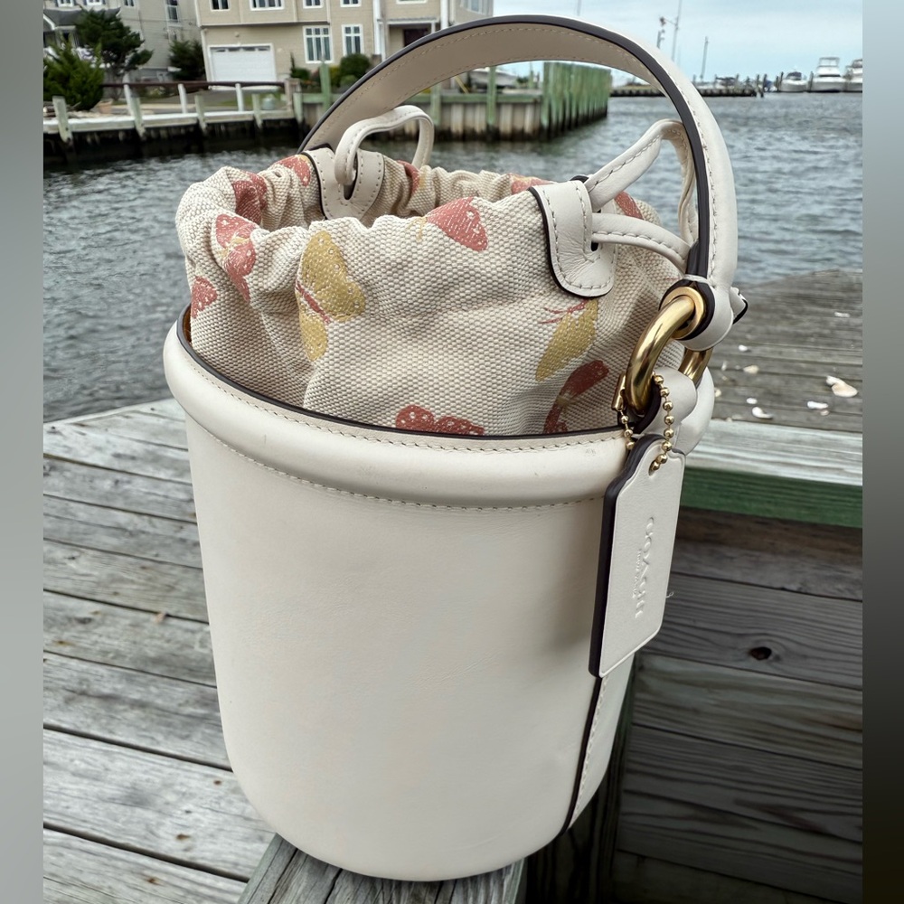 Coach Cream & Butterfly Pastel Mini Bucket Bag